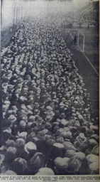 Wolves FA Cup