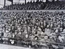A jubilant crowd