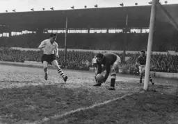 Allan Brown can only hope for Bill Robertson to make a mistake,he doesn`t