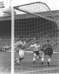 Not this time Forest