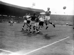 A scramble in the Forest area