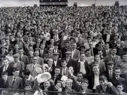 Happy Hatters on the Kenilworth Road terrace