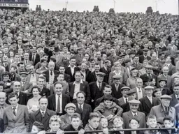 Terrace supporters