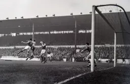 Dave Pacey goes in where it hurts