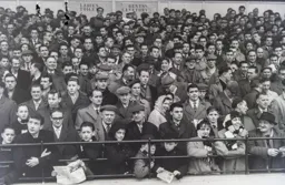 Wrapped up in the Enclosure