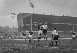 Allan Brown up highest