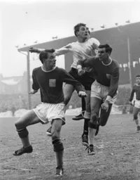 Ron Davies rises highest