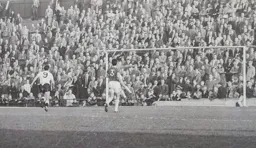Gordon Turner nets from the spot