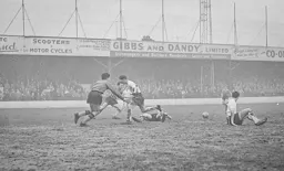 Everyone misses the ball