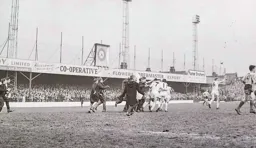 Jubilant fans on the pitch following the winning goal