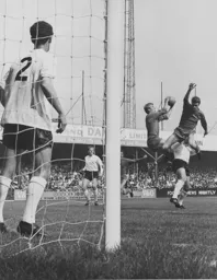 Max Dougan watches as Tony Read gathers the ball
