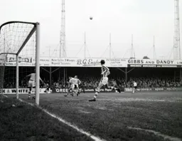 Laurie Sheffield waits for the ball to drop