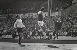 Matt Tees closing on Albion defender