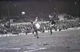 Matt Tees heads home