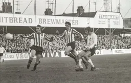 Malcolm Macdonald checks for accuracy