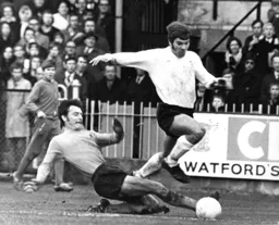 Malcolm Macdonald is in the clear
