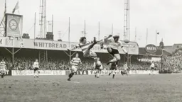 David Court flying high