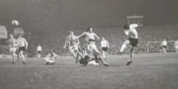 Jimmy Ryan shoots
