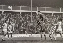 Chris Nicholl and Viv Busby rise unmarked