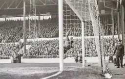 The Policeman has the best view