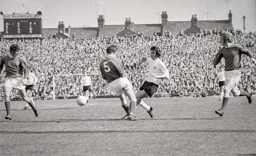 Peter Anderson passes just in time