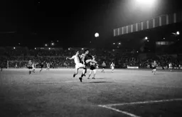 Chris Nicholl solid in defence