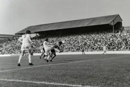 Another view of Peter Anderson's diving header