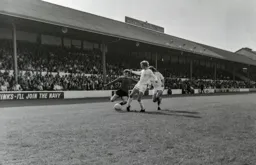 Peter Anderson taking no prisoners