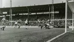 Robin Wainwright's throughball sets up Anderson to score Luton's winner