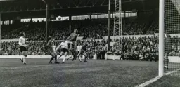Vic Halom acts as a support for Middlesbrough's defence