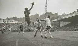 Vic Halom waits to pounce