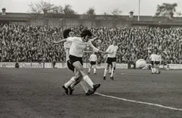 Peter Anderson crosses under pressure