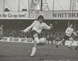 Peter Anderson scores in the 24th minute