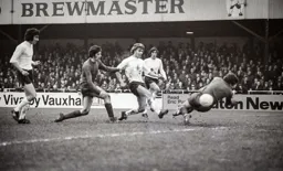 Viv Busby fires wide