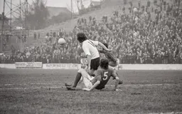 Peter Anderson in the thick of it