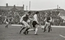 Vic Halom closely policed