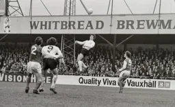 Vic Halom rises high