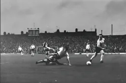 Peter Anderson taken out of the game