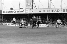 Peter Anderson surrounded