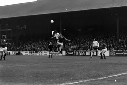 Peter Anderson rises highest