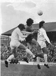 Peter Anderson wins his header