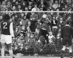 Graham Horn gathers safely