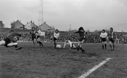 Peter Anderson goes close