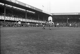 Peter Anderson attacks