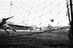 Jimmy Ryan scores from the spot