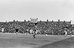 Barry Butlin in lots of space