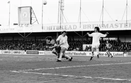 Peter Anderson goes down