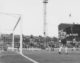 Another view of the celebration by Barry Butlin