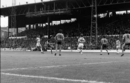 Peter Anderson fires in a shot