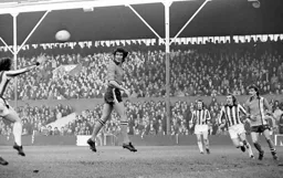 Adrian Alston rises high